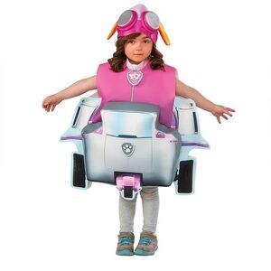 Kids Paw Patrol 3D Skye Costume